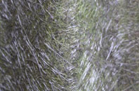 Brelston Green fibreglass roof work